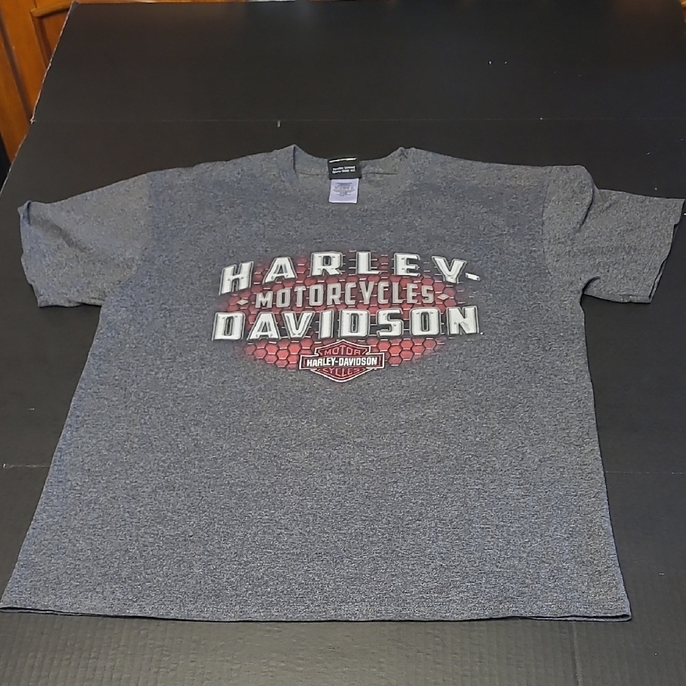 Harley-Davidson Gray Men's T-Shirt Size L NIAGRA FALLS